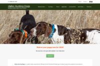 Idaho Hunting Dogs